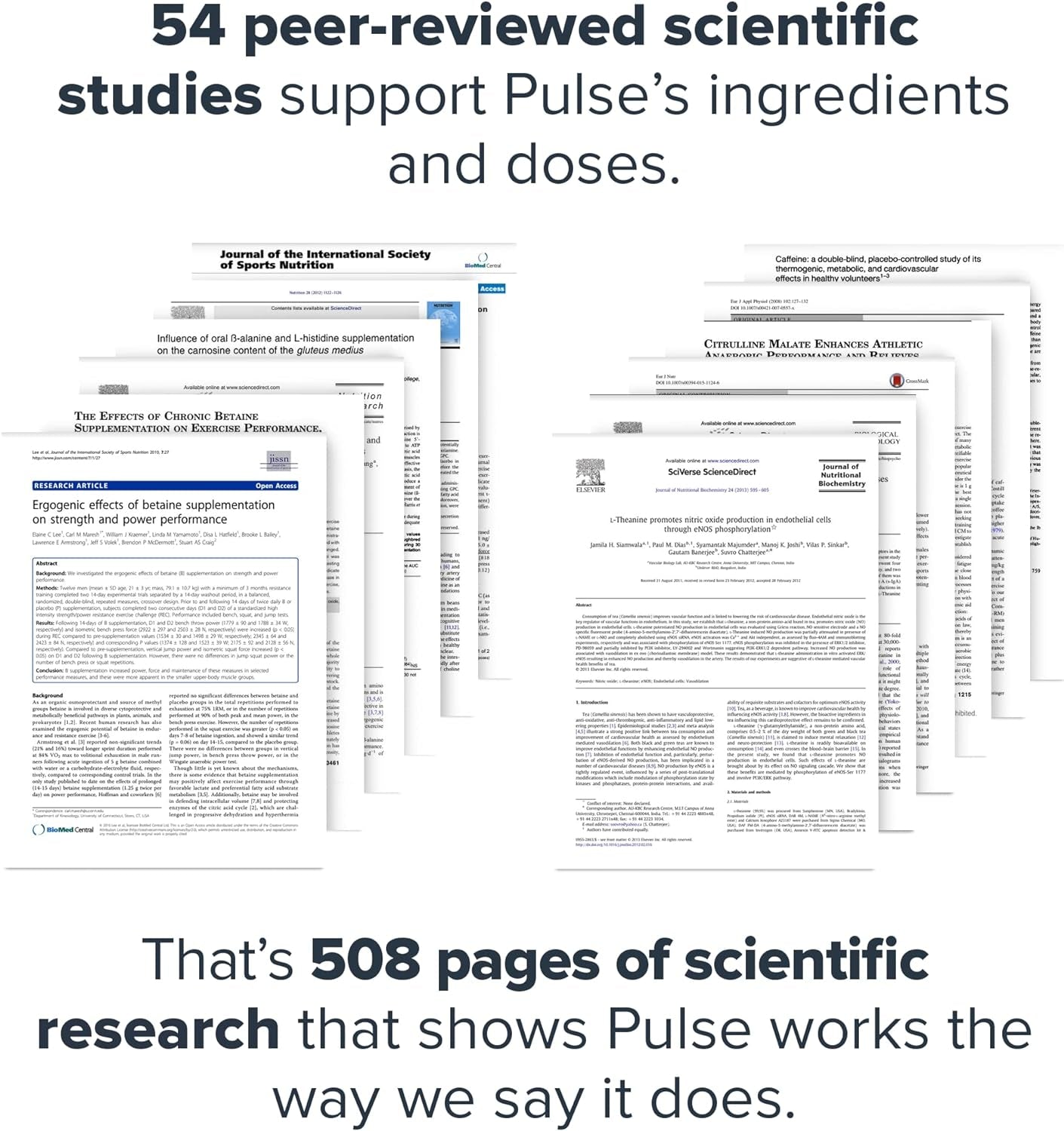 Pulse Pre Workout Supplement - All Natural Nitric Oxide Preworkout Drink to Boost Energy, Creatine Free, Naturally Sweetened, Beta Alanine, Citrulline, Alpha GPC (Fruit Punch)